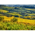 thumbnail image 2 of Eggers, Julie 14x11 Black Ornate Wood Framed with Double Matting Museum Art Print Titled - Italy-Chianti Vineyard in autumn in the Chianti region of Tuscany, 2 of 4