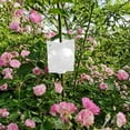 thumbnail image 4 of Boîte de Culture de Racines pour Plantes 20 Pcs, Capsules Réutilisables pour Superposition à l'Air, Ensemble de Boules de Propagation des Racines pour une Propagation Rapide, Outils de Greffage pour Boutures de Plantes, Arbres, Fleurs (Transparent), 4 of 4
