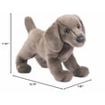 thumbnail image 2 of Peluche Douglas Cassie Weimaraner de 33 cm, 2 of 3