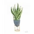 thumbnail image 2 of Zaman, Farida 15x18 Black Ornate Wood Framed with Double Matting Museum Art Print Titled - Green House Plants IV, 2 of 4