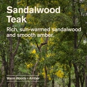 Every Man Jack Sandalwood Teak Daily 2-in-1 Shampoo and Conditioner for Men, Naturally Derived, 13.5 oz