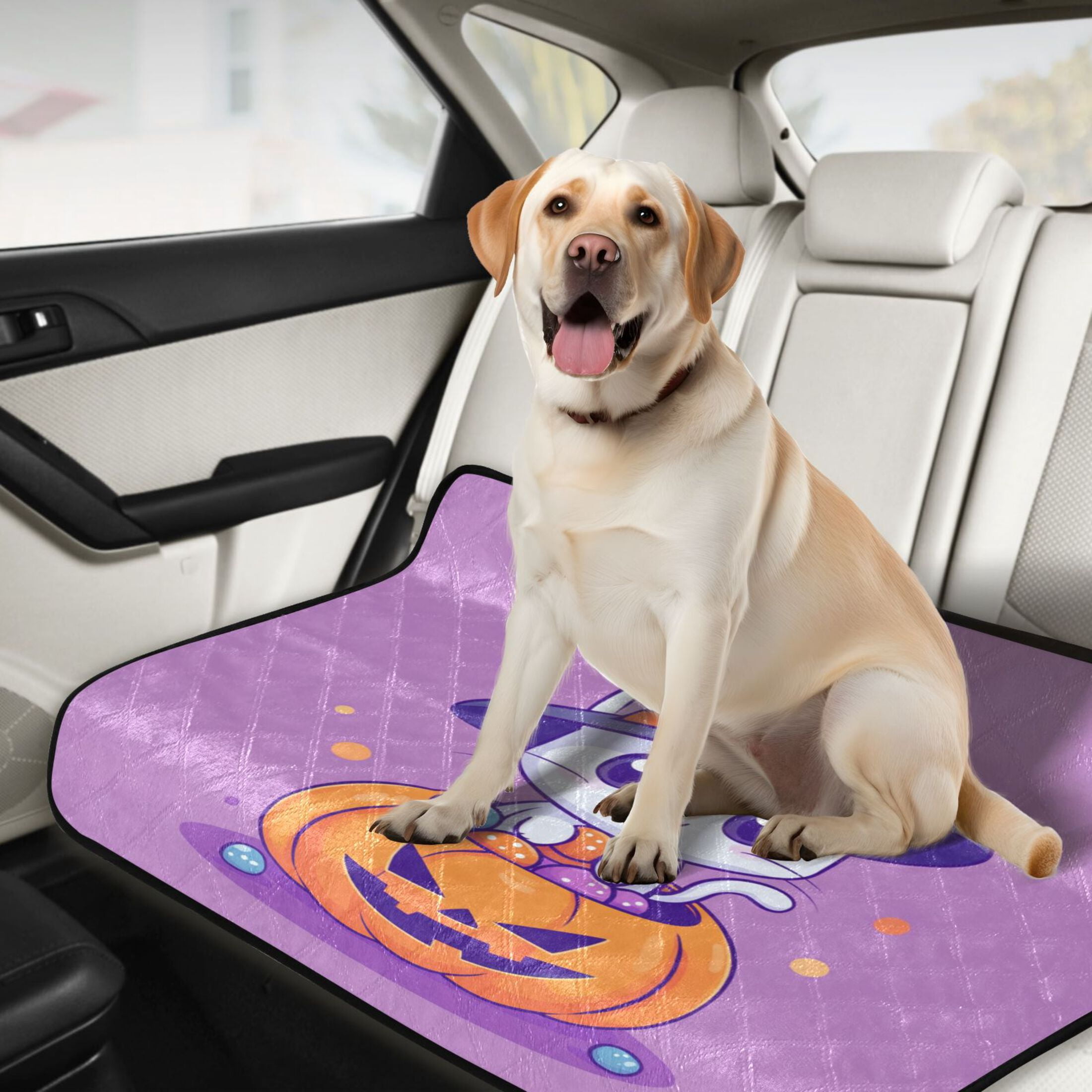 Qxltty A Cute Cat Sitting on Top Of Pumpkin Cat litter Pads Pet Set of 3 Diaper Mats Center Anti-leakage Layer Absorbent Soft and Comfortable