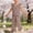 Brown, variant on Amidoa Girls Summer 2 Piece Outfits Cute Cute Tank Top and Elastic Waist Pants Kids Clothing Set Brown Size 2T Brown Size 2T