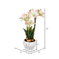 thumbnail image 2 of Vickerman 25" Plastic Artificial Amaryllis Floral Arrangement in Pink, 2 of 2