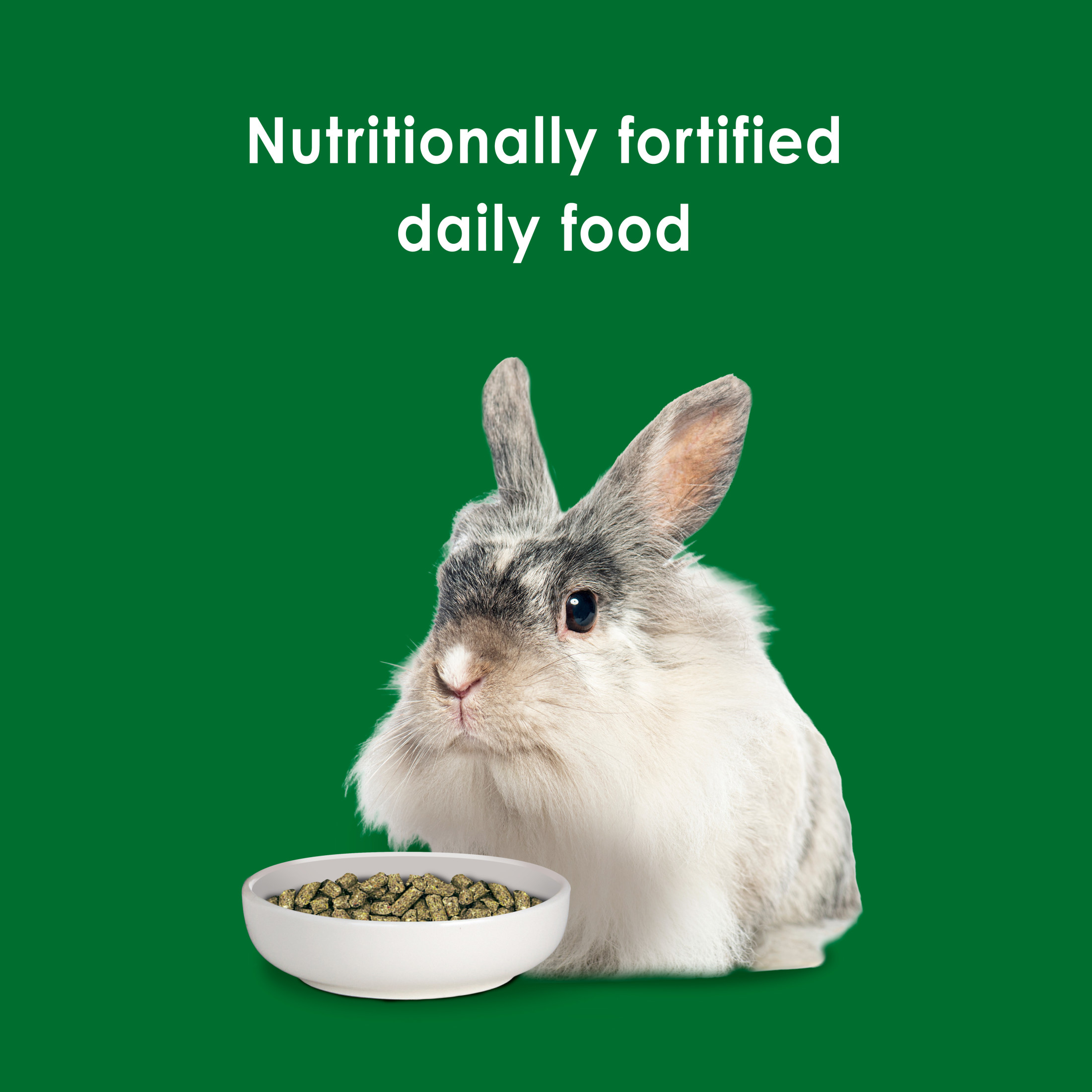 Kaytee Forti-Diet Rabbit Food, 5 Pounds photo 4