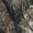 Realtree Edge, variant on DSG Outerwear Women's Ava 3.0 Camo Hunting Jacket Mossy Oak Bottomland 2XL