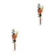 thumbnail image 1 of Injueey Durabilidad y encanto duraderos en ramo de flores secas naturales flor seca en relieve elegante HS-04 HS-04 2Conjunto, 1 of 6