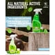 thumbnail image 3 of Repelente en spray para roedores GARDENIX DECOR, menta, 480 ml, 3 of 6