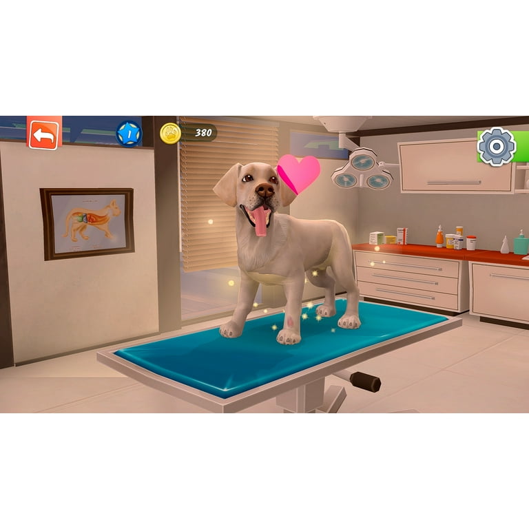 White road hotsell animal hospital