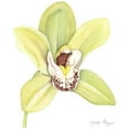 thumbnail image 3 of Goldberger, Jennifer 20x24 Black Modern Framed Museum Art Print Titled - Small Orchid Beauty II, 3 of 5