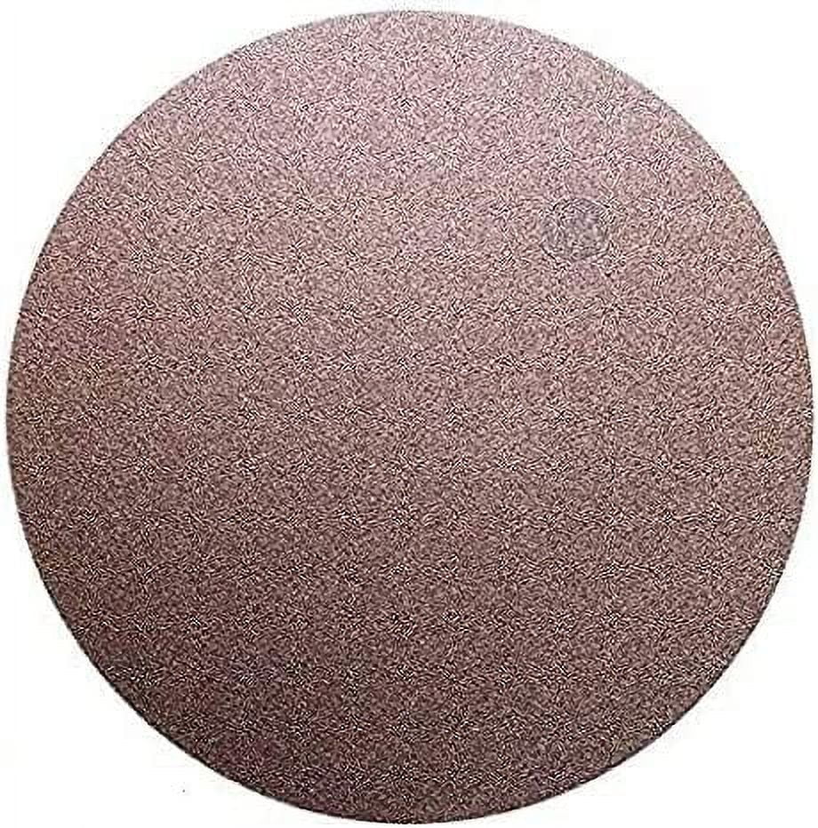 10-Pack Aluminum Oxide PSA Sanding Discs - 120 Grit For Random Orbital Sanders
