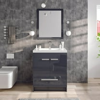 Eviva Lugano 24" Gray Modern Bathroom Vanity with White Integrated Acrylic Sink