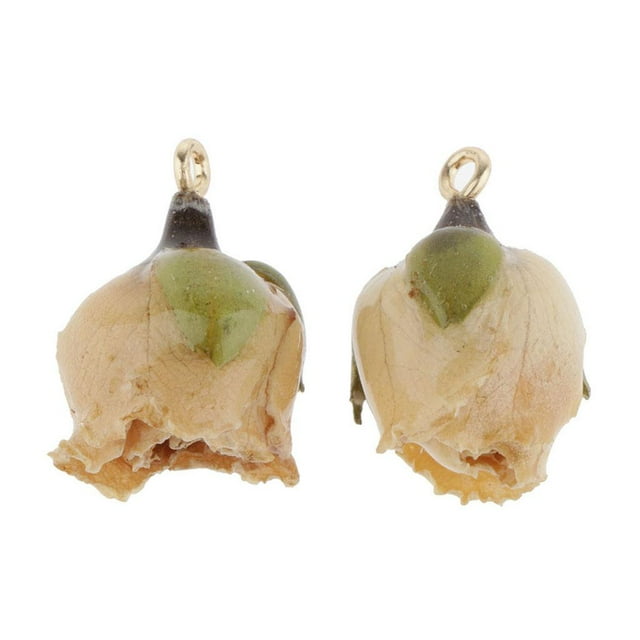 1 par de abalorios de rosas secas de resina auténtica, fabricación , pendientes beige con hoja BLESIY Encantos de flores secas de resina