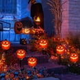 Outdoor Jack O Lanternnull