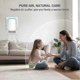 thumbnail image 5 of 3-Pack Air Ionizers for Home | Negative Ion Generator (EU Edition), 5 of 5