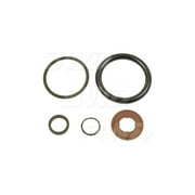 BWD Automotive Fuel Injector Seal Kit