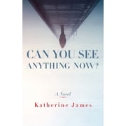 Paraclete Fiction: Can You See Anything Now? : A Novel (Paperback)