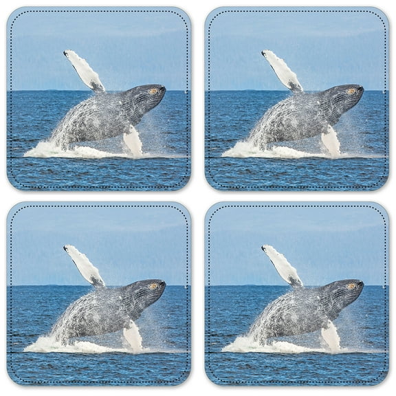 Vinyl Drink Coasters - Set of 4 - Humpback Whale