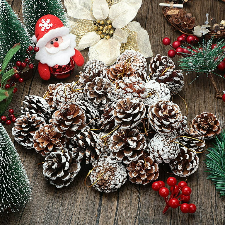 Casewin 18 Pieces Pine Cones for Christmas Tree White Christmas