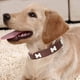 thumbnail image 4 of Collar elegante para gato Greeniant de PU con hebillas duraderas y ajustables rojo 2.5*50cm, 4 of 6