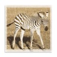 thumbnail image 2 of Gango Home Decor Young Africa Zebra by Susann Parker (Printed on Paper); One 24x24in Fine Art Paper Giclee Print, 2 of 4