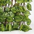 thumbnail image 3 of Langgg Retractable Garden Fence Privacy Screen Outdoor Watermelon Leaf, 3 of 9