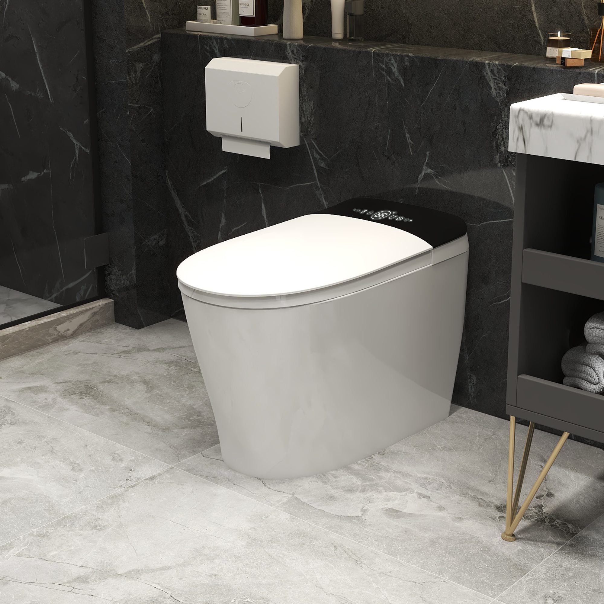 Bidet Toilets