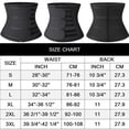 thumbnail image 2 of SHAPERIN Neoprene Sauna Waist Trainer Sweat Girdle Belt for Women Weight Loss Compression Trimmer Workout Fitness Shapewear, 2 of 5