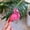 K, variant on Acrylic Flamingo Clip | New high-end candy-colored high ponytail hair clip | Women's hair accessories suitable for daily use