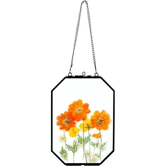 shiyou-5" x 7" Pressed Flower Frames, Glass Floating Frame with Chain for Artwork Photo, Picture, Pressed Dried Flowers, Plant Specimen, Vintage Wall Decor, Black, Handmade (Glass Frame Only)