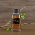 thumbnail image 4 of Colonia Diane Castel Prodigio Ámbar Especiada Amaderada 100 mL Hombre, 4 of 5