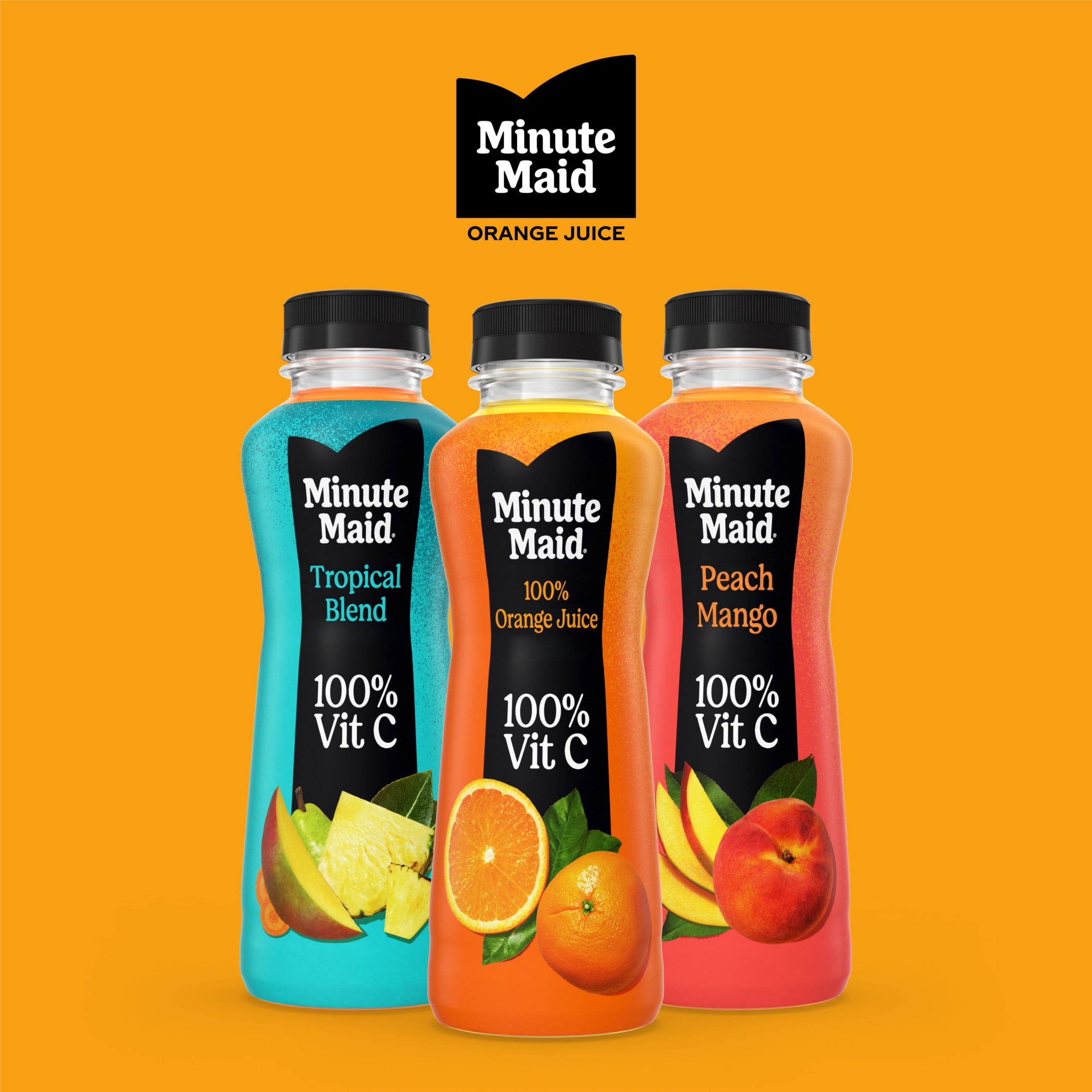 Minute Maid Orange Juice Bottle, 12 fl oz
