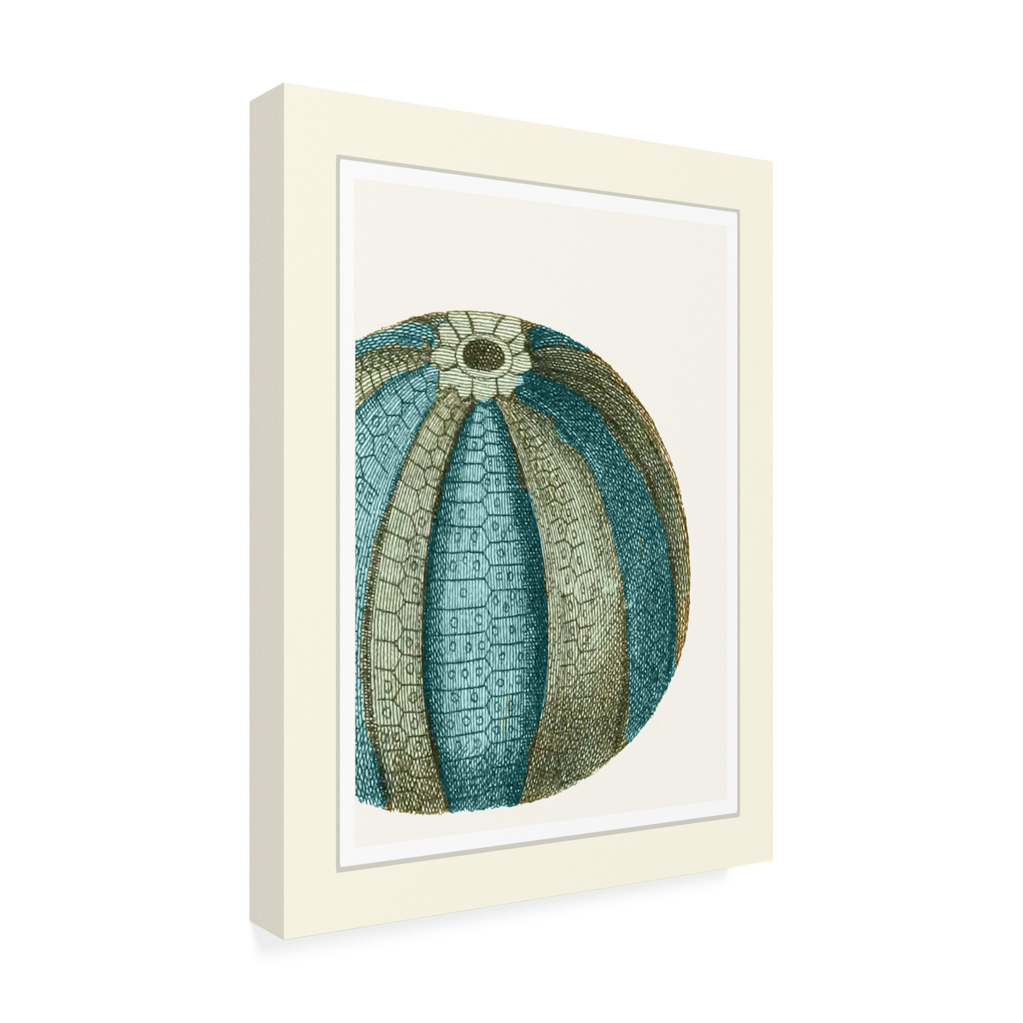 Trademark Fine Art 'Blue Underwater Scenes 1 a' Canvas Art by Fab Funky