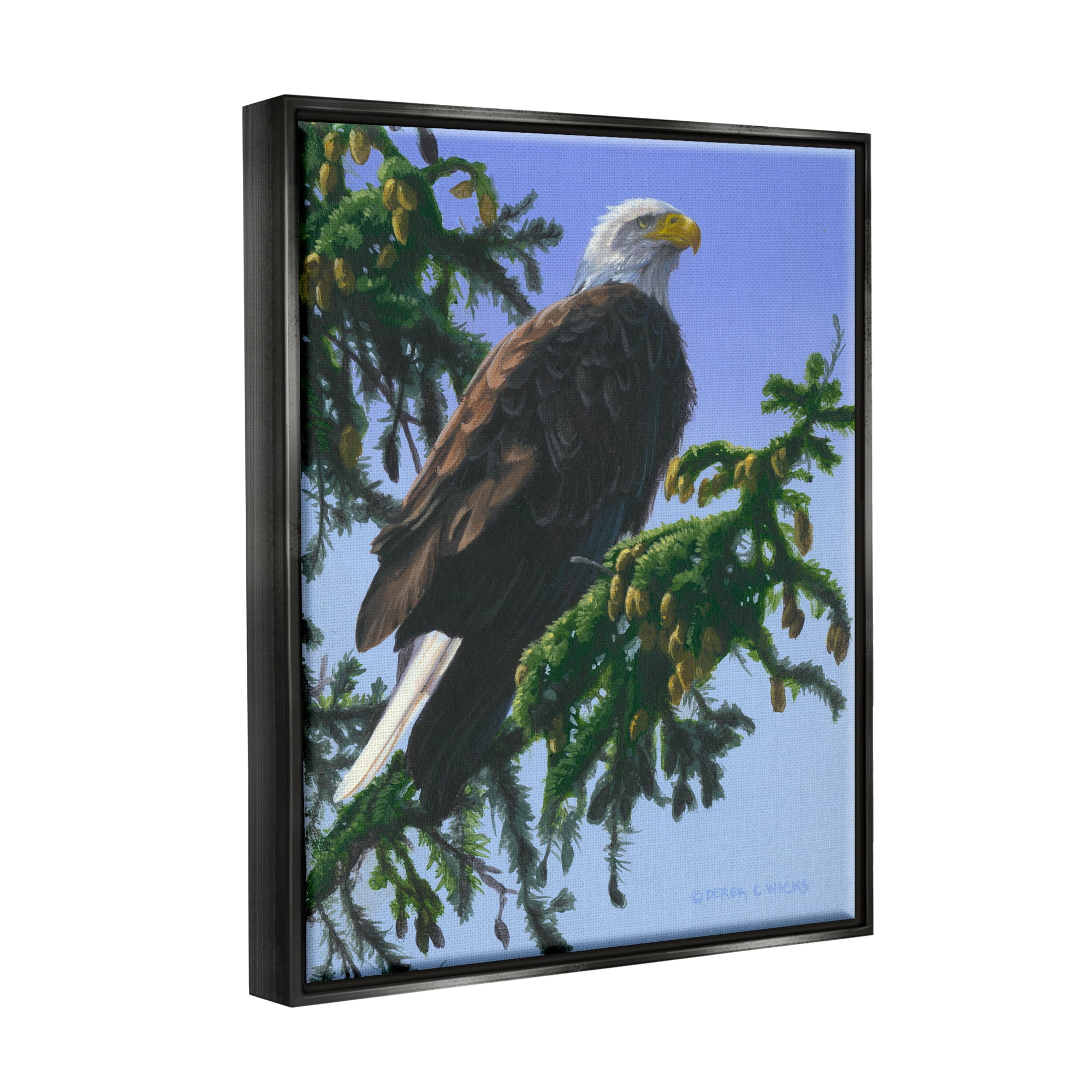 Stupell Industries Eagle on Fir Branch Animals & Insects Painting Black Floater Framed Canvas Art Print Wall Art, 17 x 21