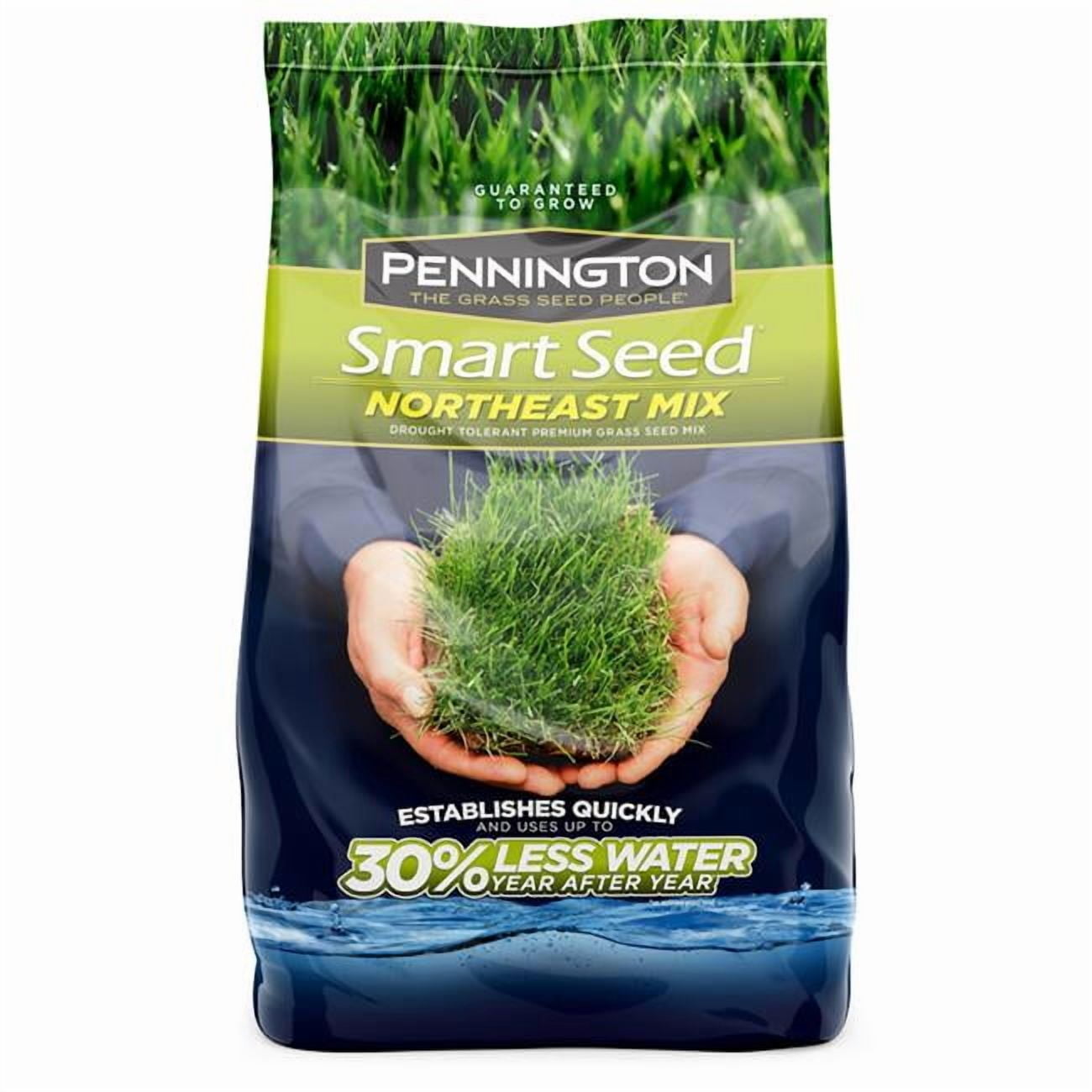 Smart Seed 3 lbs Pennington Seed Northeast Mix Full Sun & Medium Shade Grass Seed
