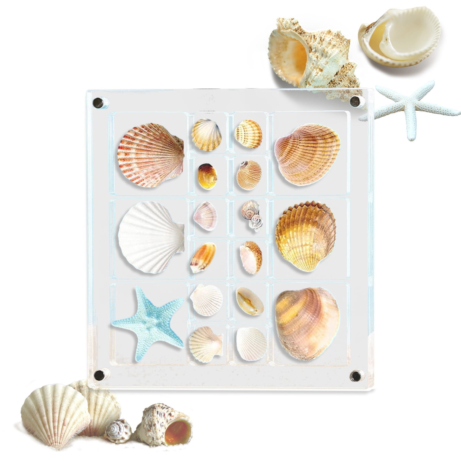 Acryl Magnetische Seashell Displaybox Hartvormig - 36 Rasters Voor Schelpen, Kralen En Sieraden