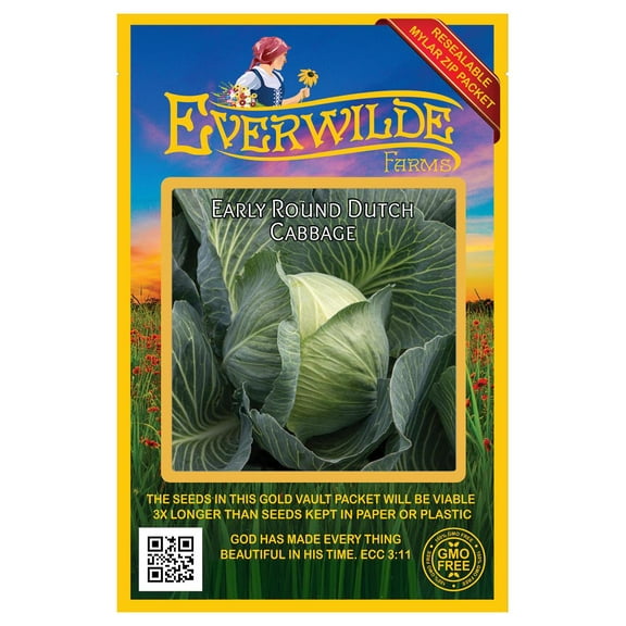 Everwilde Farms - 500 Early Round Dutch Cabbage Seeds - Gold Vault Jumbo Bulk Seed Packet