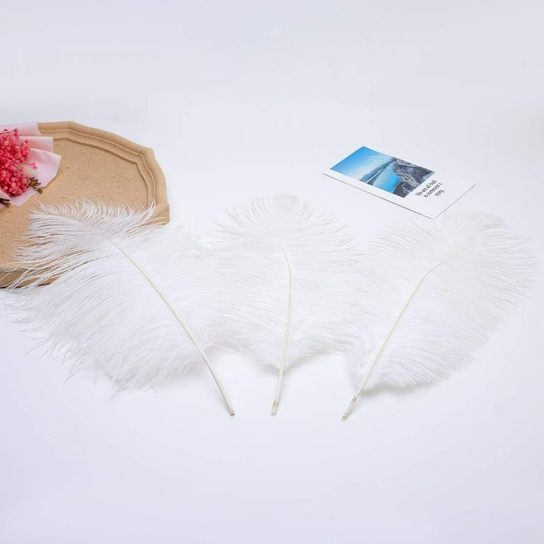  96 Pcs Natural White Ostrich Feathers, 10-12 Inch (25-30 cm)  Large Feathers Decoration Centerpieces Plume for DIY Craft Flower  Arrangement Tables Vases Wedding Party Home Tree Decor : Arts, Crafts &  Sewing