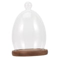 thumbnail image 4 of Egg Glass Cover Display Dome Compact Size Decor 19.00X13.00X13.00CM, 4 of 8