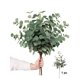 thumbnail image 1 of 1pc Artificial Plants Eucalyptus Stems Eucalyptus Leaf Spray Faux Eucalyptus Branches Greenery Stems Silk Plastic Plants Floral For Vase Home Party We, 1 of 5