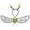 Type B-1, variant on Doomiva Elastic Strap Bee Wings Headband for Adults Kids Props Festival Stage Type C-2 One Size