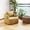 Dusty Yellow, variant on Meeyar Swivel Accent Chair with a Back Cushion, Comfy Chenille Barrel Chairs for Living Room Bedroom, Dusty Yellow