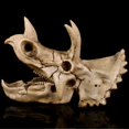 thumbnail image 2 of Triceratops Cráneo Resina Modelo Coleccionables Pub Bar Artesanía Decorativa, 2 of 8