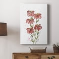 thumbnail image 5 of Watercolor Blooms II Premium Gallery Wrapped Canvas - Ready to Hang, 5 of 9