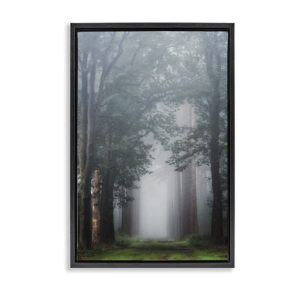Stupell Industries Calm Forest Clearing Landscape & Nature Photography Black Floater Framed Canvas Art Print Wall Art, 17 x 25