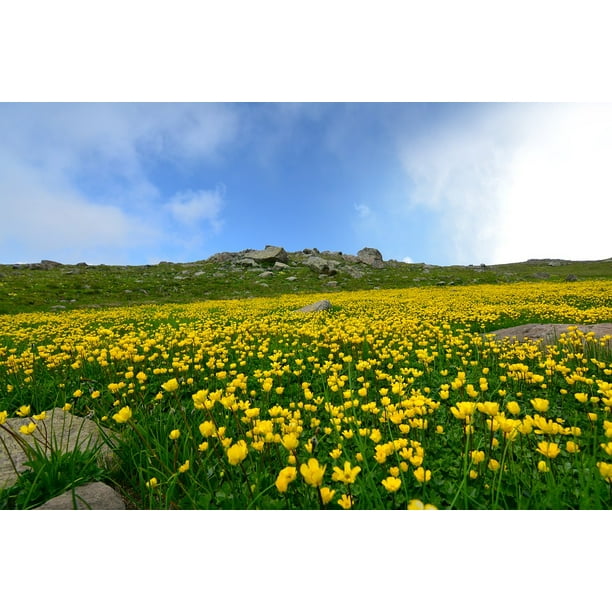 Turkey Nature Kaaƒae A A Kars Landscape Natural Turkey Inch By 30 Inch Laminated Poster With Bright Colors And Vivid Imagery Fits Perfectly In Many Attractive Frames Walmart Com Walmart Com
