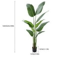 thumbnail image 6 of Artificial Banana Tree 5.2FT,Home Decor Indoor Artificial Tree,Faux Tropical Banana Floor Plant with Pot,Tall Artificial Plants Indoor Office Living Room Decor, 6 of 8