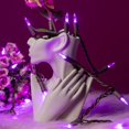 thumbnail image 3 of Lumières de Noël Roses à LED Pieds Fil Rose Qualité Commerciale Guirlande Lumineuse de Vacances (Fil Rose), 3 of 9