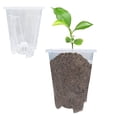 thumbnail image 5 of tasrioml Transparent Orchid Pot Plant Pot with Drainage Holes Phalaenopsis Flower Pot with Air Column Prevent Root Rot for Small Houseplants Seedlings, 5 of 8