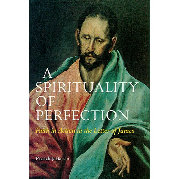 A Spirituality of Perfection : Faith in Action in the Letter of James (Paperback)